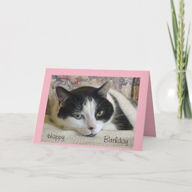 Tarjeta de cumpleaños para gato negro/blanco Adora (Anverso)