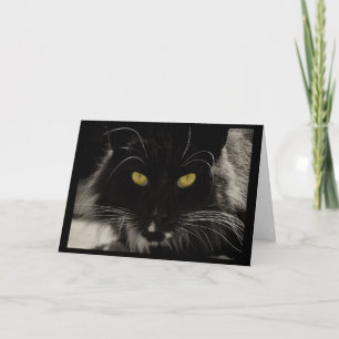 Tarjeta de cumpleaños para gato negro, deseo de ed
