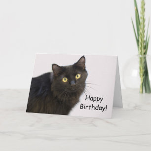 Tarjeta de cumpleaños para gato negro por foco por
