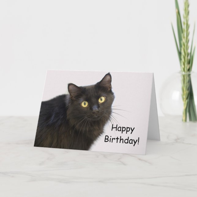 Tarjeta de cumpleaños para gato negro por foco por (Anverso)