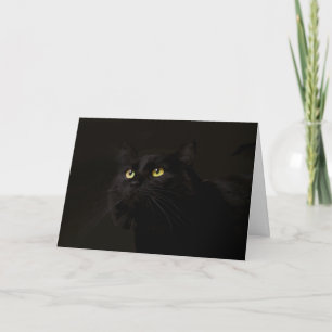 Tarjeta de cumpleaños para gato negro por foco por