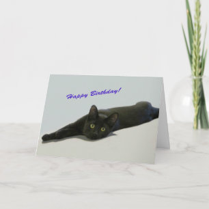Tarjeta de cumpleaños para gato negro por foco por