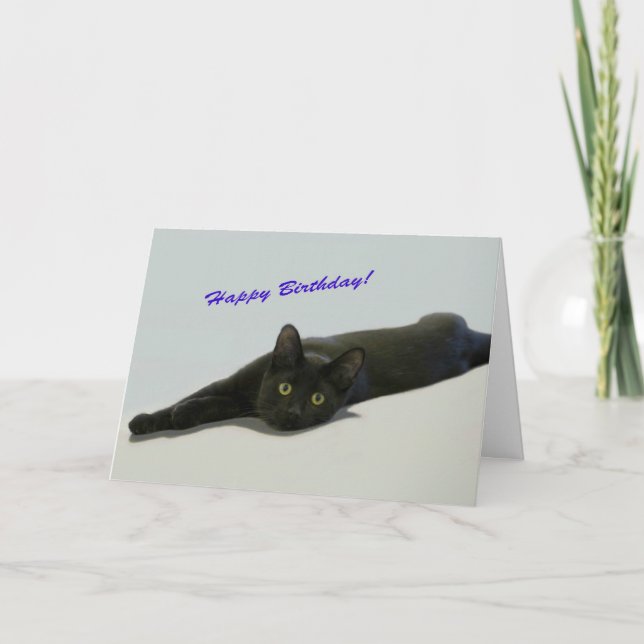 Tarjeta de cumpleaños para gato negro por foco por (Anverso)