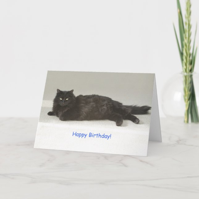 Tarjeta de cumpleaños para gato negro por foco por (Anverso)