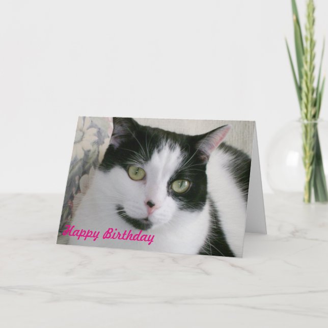 Tarjeta de cumpleaños para gato negro y blanco (Anverso)