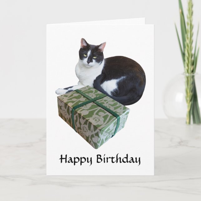 Tarjeta de cumpleaños para gato negro y blanco (Anverso)