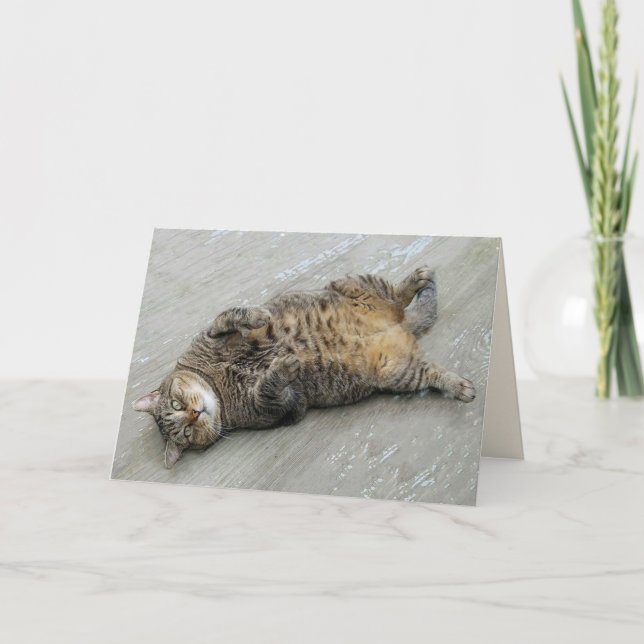 Tarjeta de cumpleaños para gato superexcitado (Anverso)