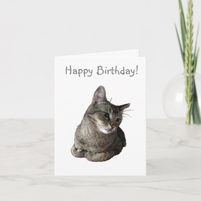 Tarjeta de cumpleaños para gatos abisinos (Anverso)