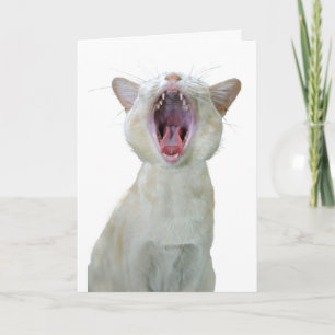 Tarjeta de cumpleaños para gatos birmanos