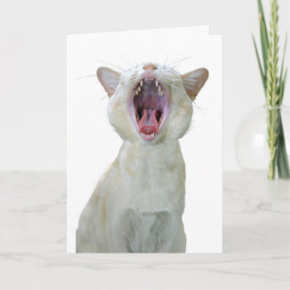 Tarjeta de cumpleaños para gatos birmanos