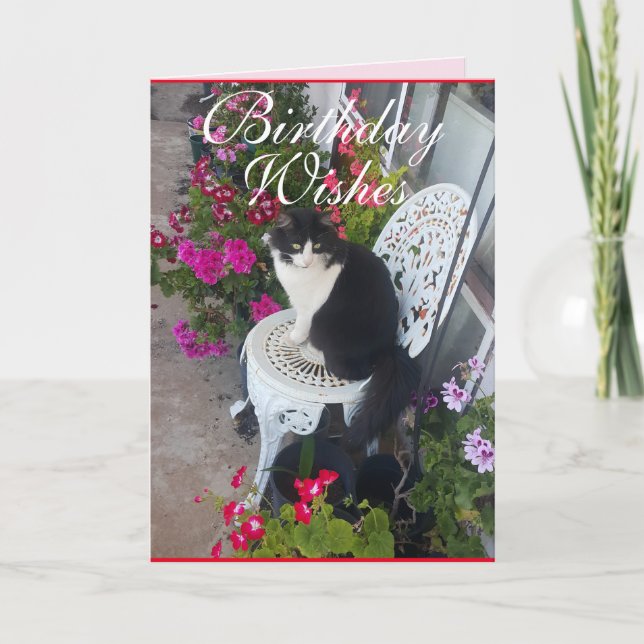 Tarjeta de cumpleaños para gatos de esmoquin con f (Anverso)