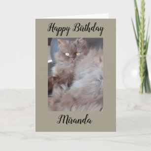 Tarjeta de cumpleaños para gatos de mal gusto