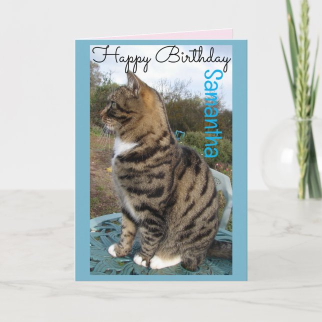 Tarjeta de cumpleaños para gatos de Tabby Cute de  (Anverso)