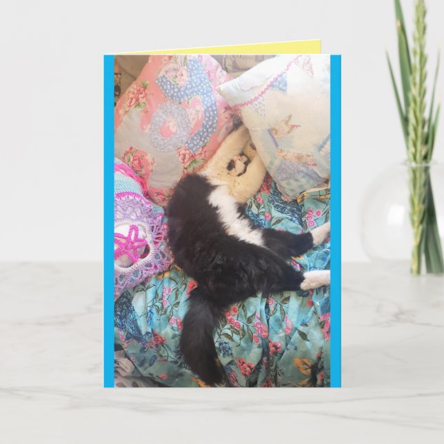 Tarjeta de cumpleaños para gatos de Tuxedo Cute Gr (Anverso)