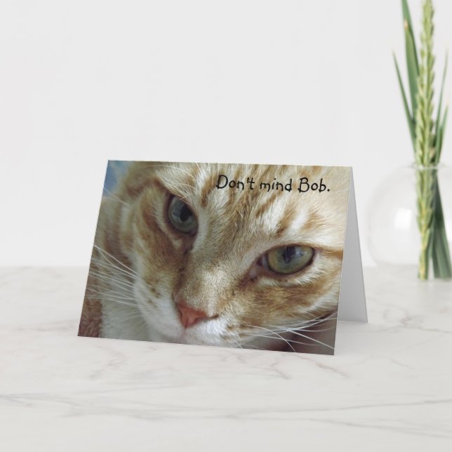 Tarjeta de cumpleaños para gatos humorística (Anverso)
