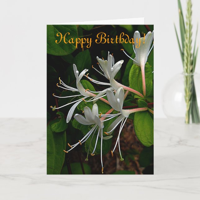 Tarjeta de cumpleaños para honeysuckle (Anverso)