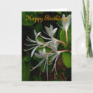 Tarjeta de cumpleaños para honeysuckle