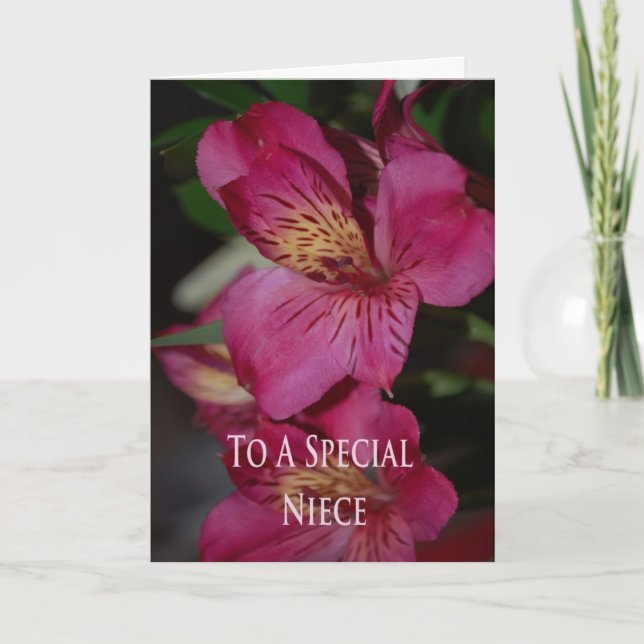 Tarjeta de cumpleaños para la sobrina (Anverso)