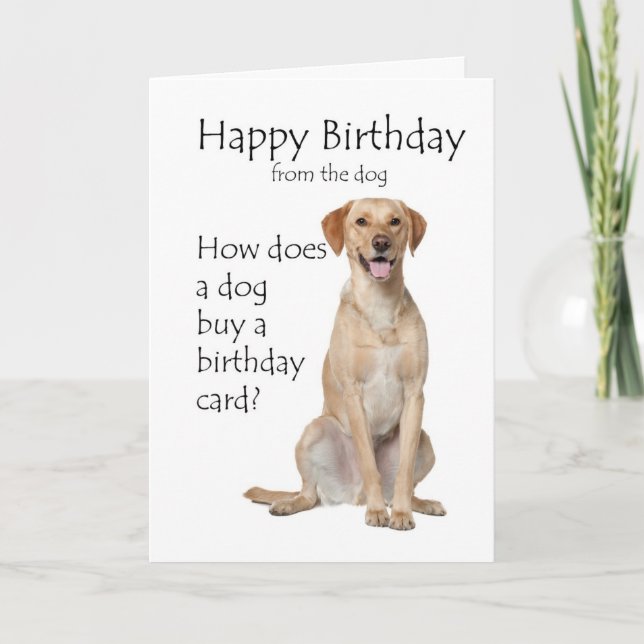 Tarjeta de cumpleaños para Labrador Retriever amar (Anverso)