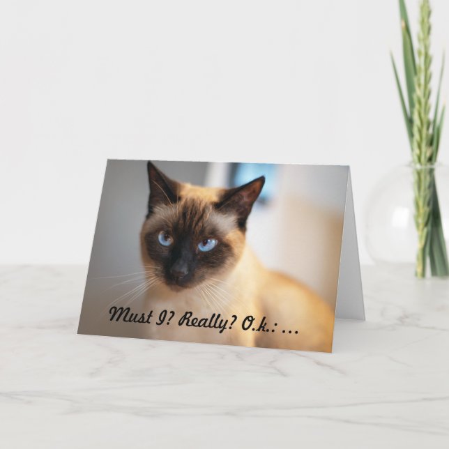 Tarjeta de cumpleaños para los amantes de los gato (Anverso)