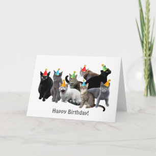 Tarjeta de cumpleaños para los gatos con Gorras Fi