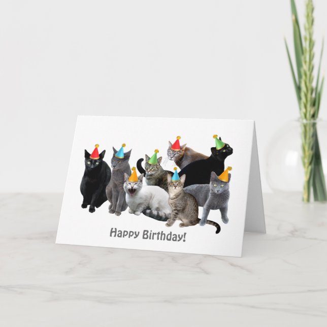 Tarjeta de cumpleaños para los gatos con Gorras Fi (Anverso)