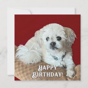 Tarjeta de cumpleaños para Malshi