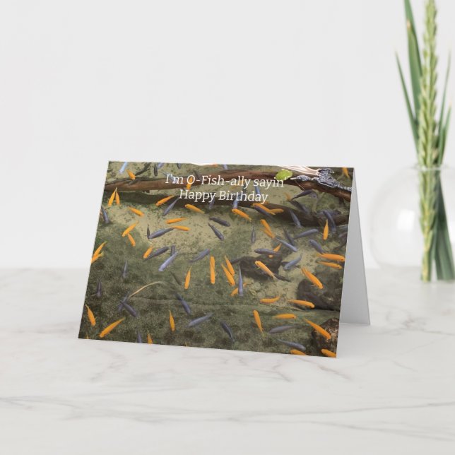 Tarjeta de cumpleaños para peces divertidos (Anverso)