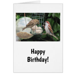 Tarjeta de cumpleaños para pequeños pájaros de bon