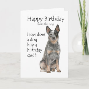 Tarjeta de cumpleaños para perro bovino