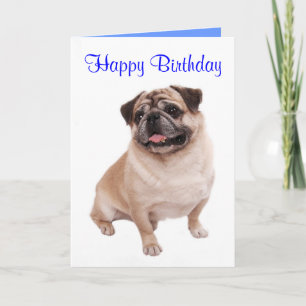 Tarjeta de cumpleaños para perro Pug cachorro - Ve