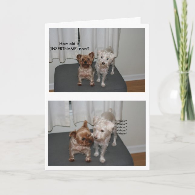Tarjeta de cumpleaños para perros risibles (Anverso)