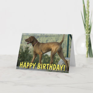 Tarjeta de cumpleaños para perros Vizsla