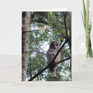 Tarjeta de cumpleaños para un viejo pájaro duro