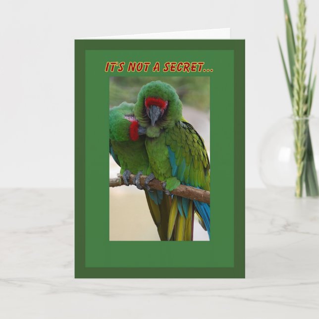 Tarjeta de cumpleaños Pareja de Loro (Anverso)