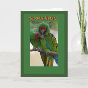 Tarjeta de cumpleaños Pareja de Loro