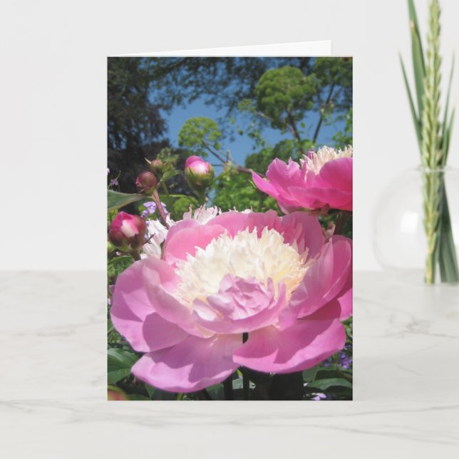 Tarjeta de cumpleaños Peony (Anverso)