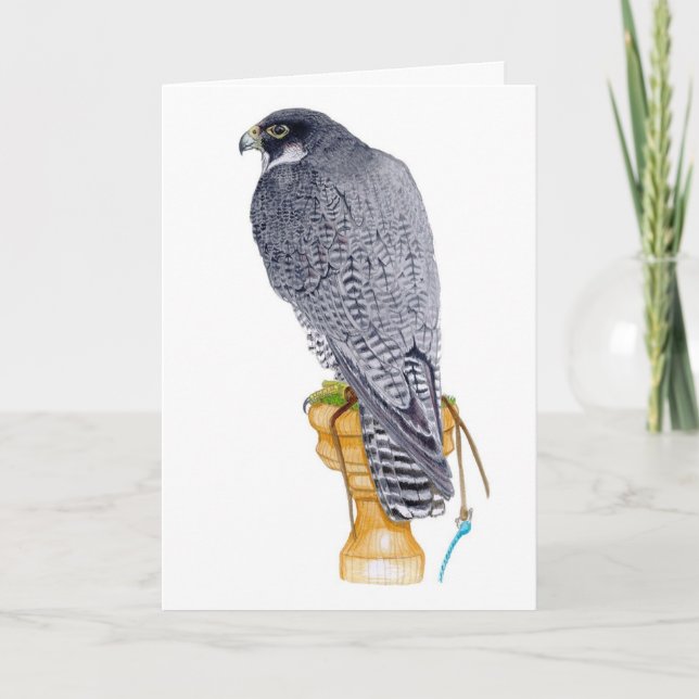 Tarjeta de cumpleaños Peregrine Falcon (Anverso)