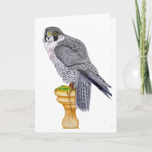 Tarjeta de cumpleaños Peregrine Falcon (Anverso)