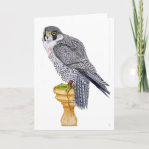 Tarjeta de cumpleaños Peregrine Falcon