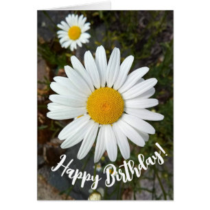Tarjeta de cumpleaños Perky White Daisy Flower