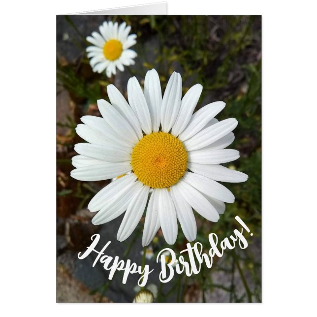 Tarjeta de cumpleaños Perky White Daisy Flower (Frente)