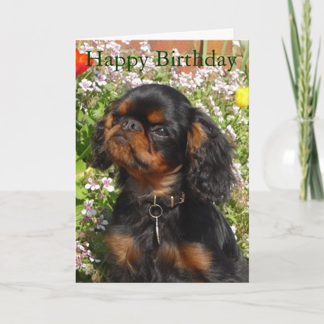 Tarjeta de cumpleaños: Perro de aguas de rey (Anverso)