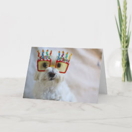 Tarjeta de cumpleaños - Perro divertido con gafas