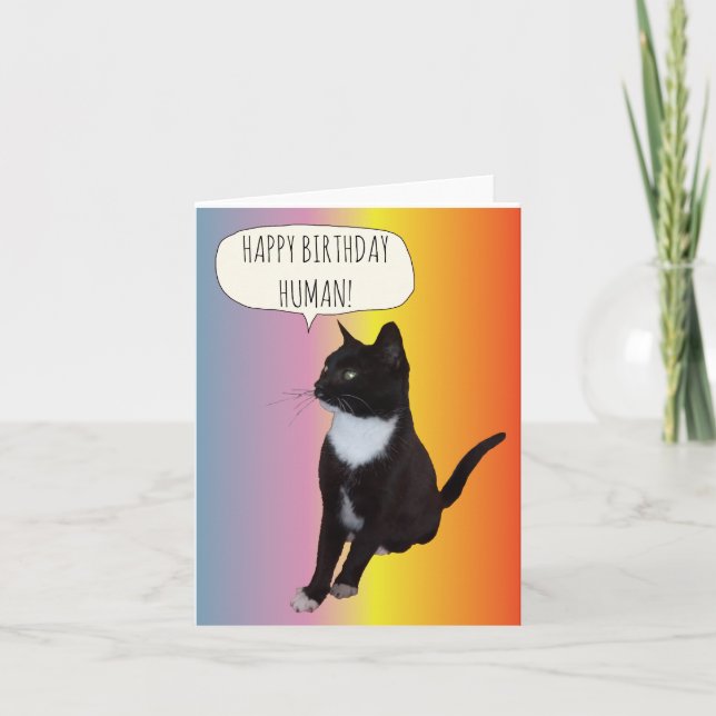 Tarjeta de cumpleaños personalizable de gato blanc (Anverso)