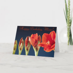 Tarjeta de cumpleaños personalizada con gladiolos
