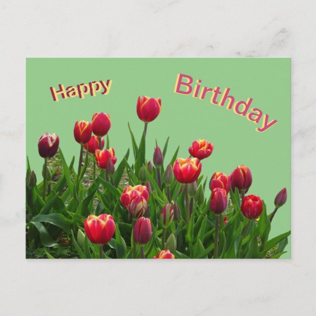 Tarjeta de cumpleaños personalizada con tulipanes  (Anverso)