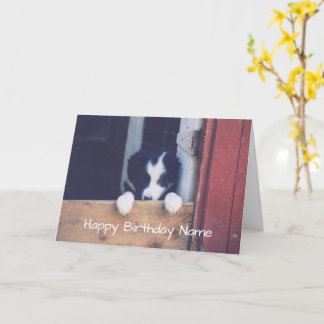 Tarjeta de Cumpleaños Personalizada de Collie Pupp