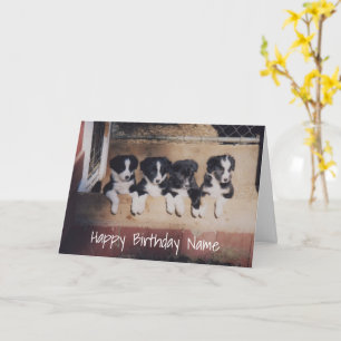 Tarjeta de cumpleaños personalizada de los Cachorr