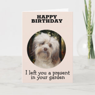 Tarjeta de cumpleaños personalizado de tu havanese